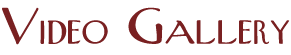 Video Gallery